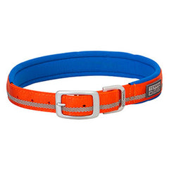 Collars and Leashes