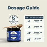 Digest - Probiotic & Digestive Enzymes