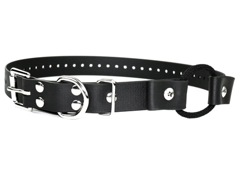 Biothane Buckle Collar with Bungee