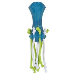JW Playplace Squeaky Dumbell W/Streamers