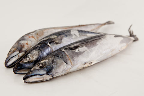 Mackerel - Whole -Bulk