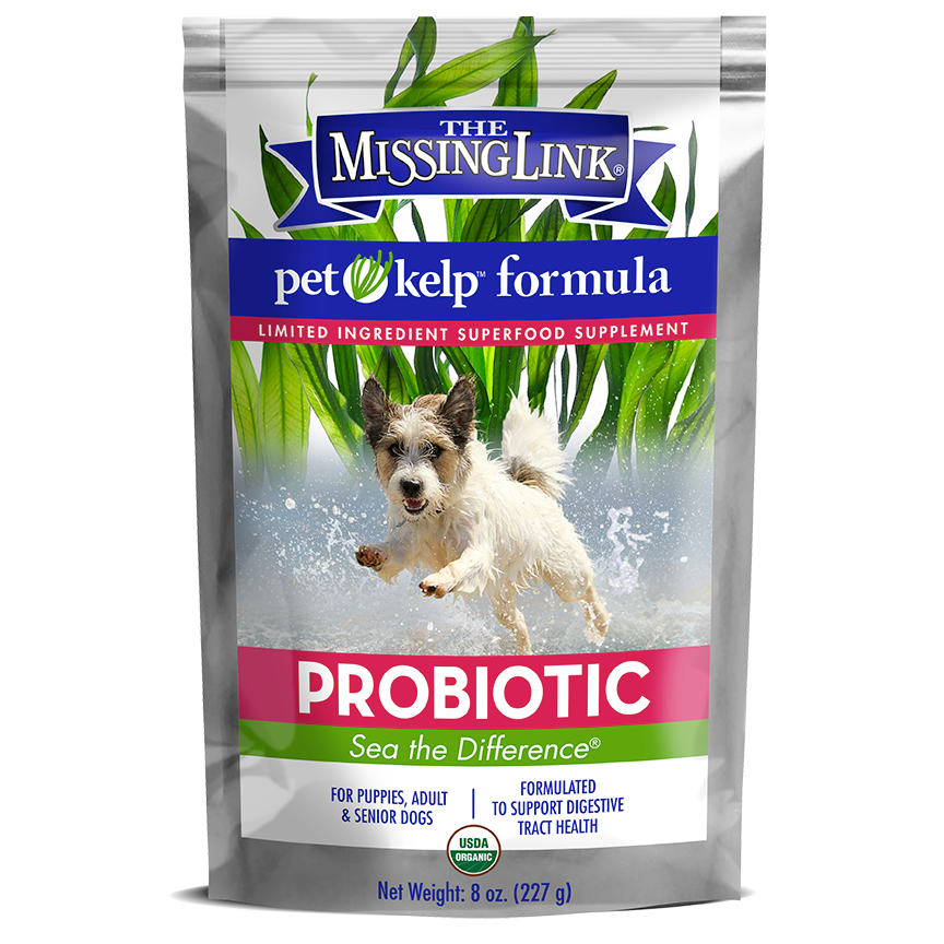 The Missing Link® Pet Kelp® Formula – Probiotic Blend – Limited Ingredient Superfood Supplement For Dogs 8 oz