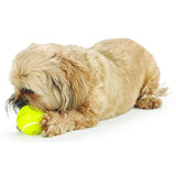 Orbee-Tuff Tennis Ball