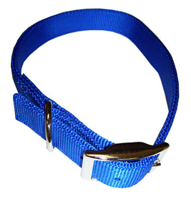 Nylon Double Ply Dog Collar - Blue