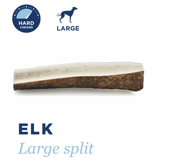 BARKWORTHIES DOG ELK ANTLER SPLIT LARGE
