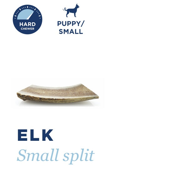 BARKWORTHIES DOG ELK ANTLER PUPPY SPLIT SMALL