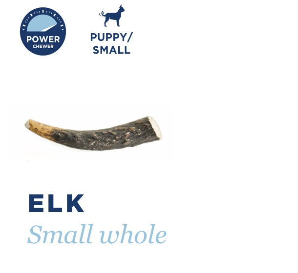 BARKWORTHIES DOG ELK ANTLER WHOLE SMALL