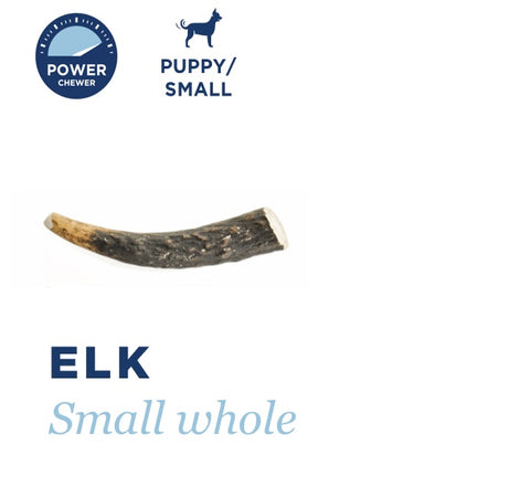 BARKWORTHIES DOG ELK ANTLER WHOLE SMALL