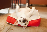 Serengeti - Safari Dog Bed