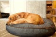 P.L.A.Y. Urban Denim Dog Bed