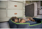 Urban Plush Lounge Dog Bed - P.L.A.Y.